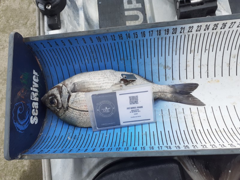 Fish Measure Picture